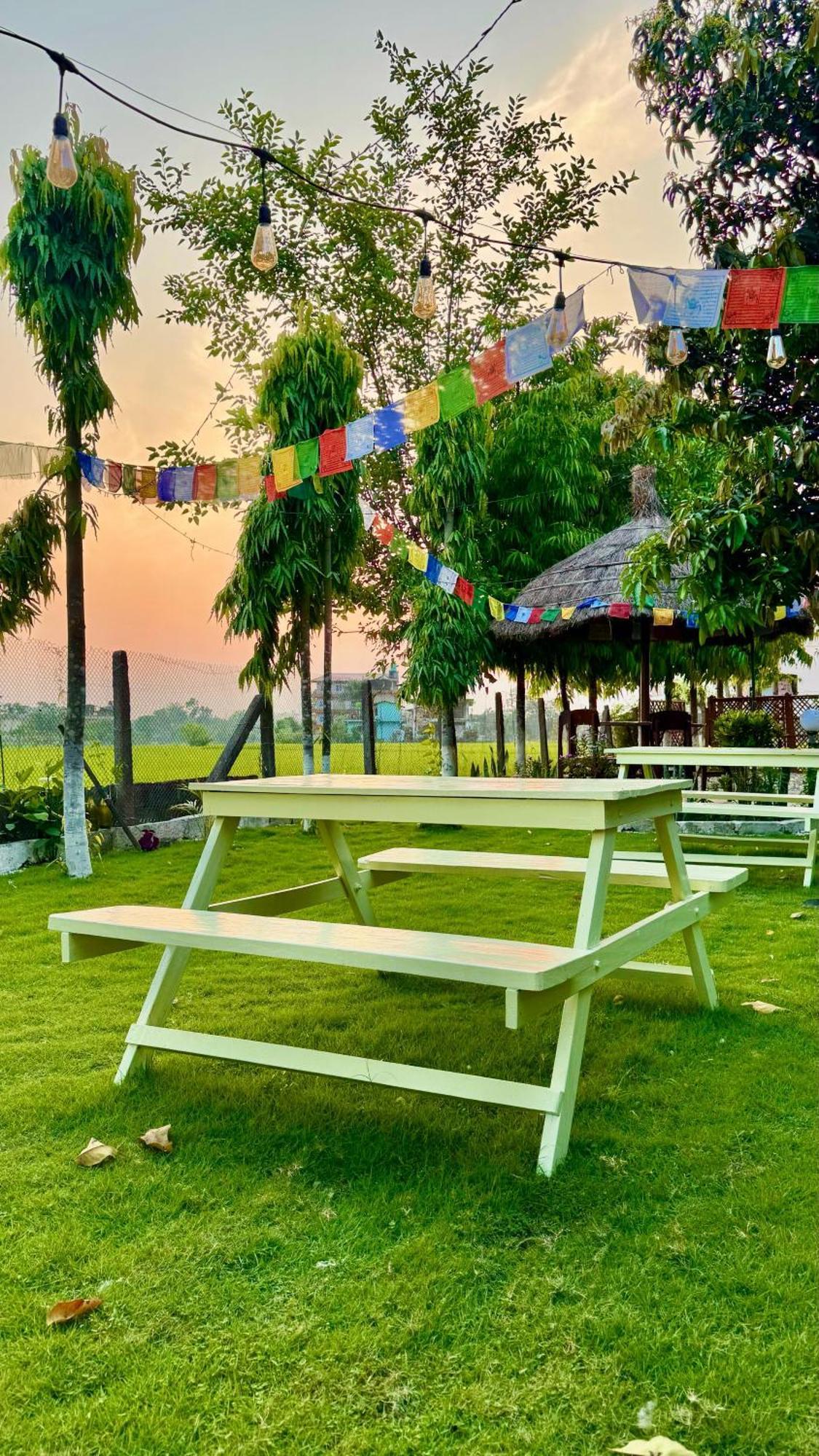 Hotel Tree Tops- A Serene Friendly Hotel In Sauraha จิตวัน ภายนอก รูปภาพ